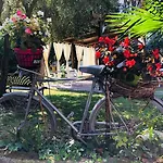 Nocleg ze śniadaniem Berghella Montesilvano Marina