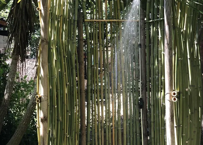 Berghella Montesilvano Marina