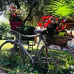 Bed & Breakfast Berghella Montesilvano