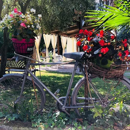 住宿加早餐酒店 伯格拉住宿加早餐旅馆 Montesilvano Marina