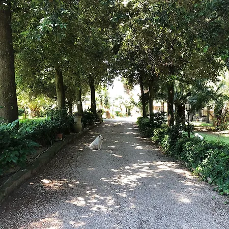 住宿加早餐酒店 伯格拉住宿加早餐旅馆 4*