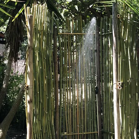 Berghella Montesilvano