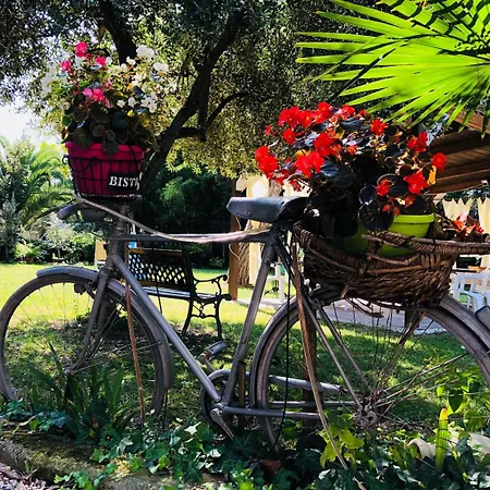 住宿加早餐酒店 伯格拉住宿加早餐旅馆 Montesilvano Marina