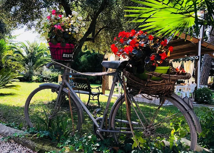 Bed & Breakfast Berghella Montesilvano